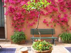 Hotel Villa Romeo