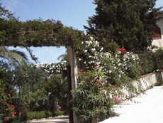 Foto B&B La Maison di Vitt